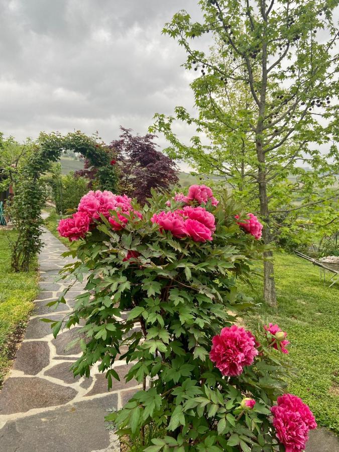 Residence Delle Rose Barolo Eksteriør bilde